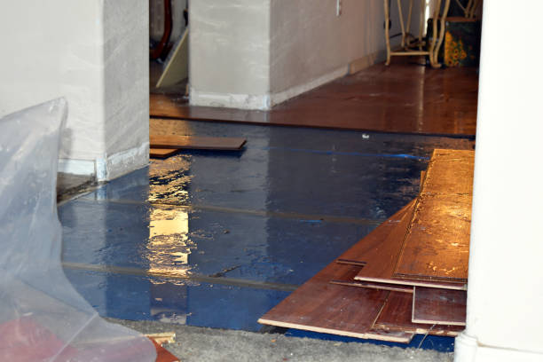 Professional Flood Damage Restoration technician working in Genoa, WI